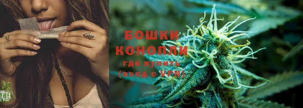 прущая мука Гусиноозёрск
