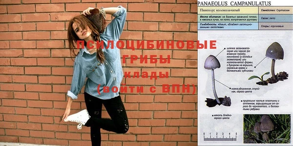 прущая мука Гусиноозёрск