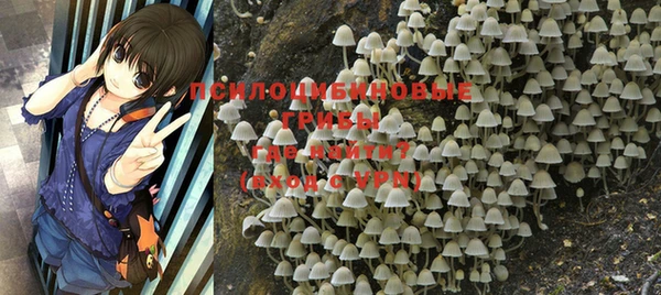 прущая мука Гусев