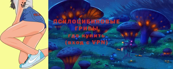 прущая мука Гусиноозёрск